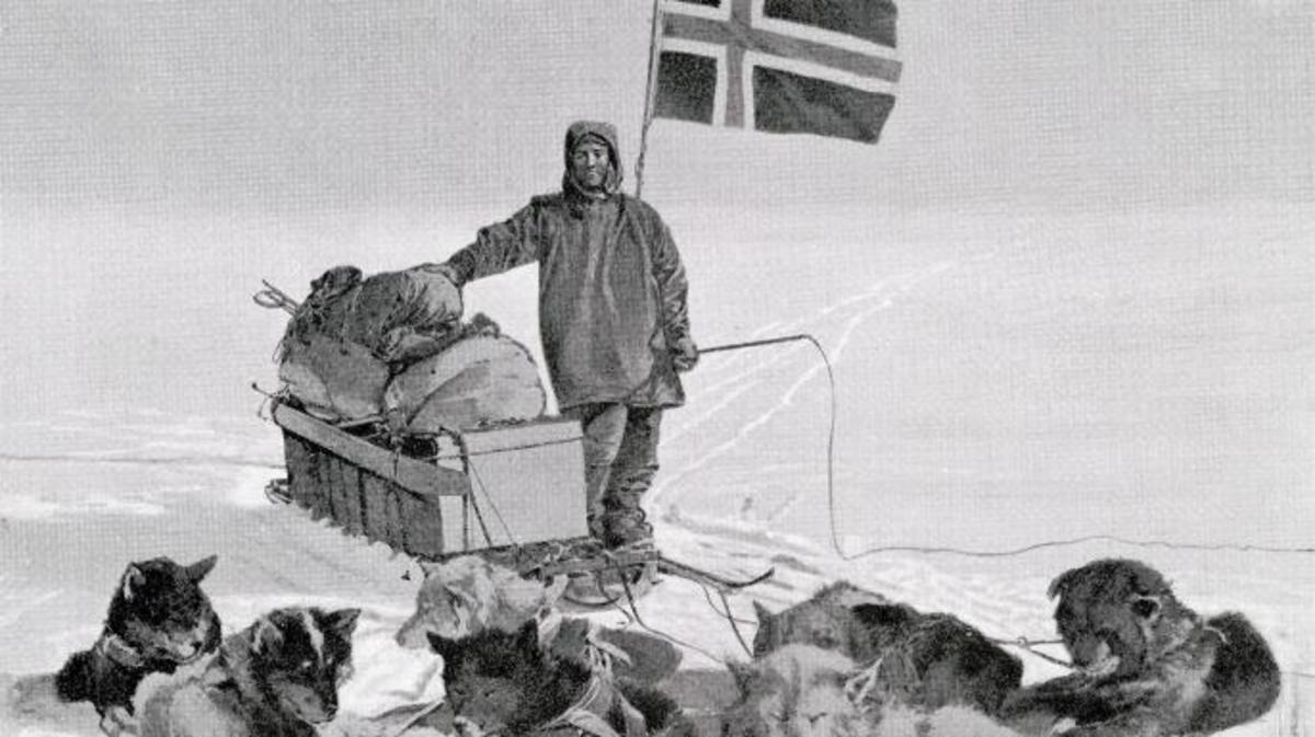 Expedition To South Pole