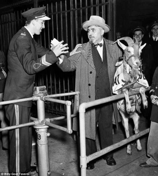 1945- Tavern owner “Billy Goat” Sianis casts goat curse on Chicago Cubs