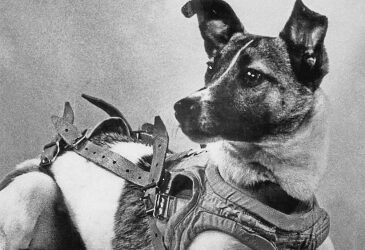 1957– Soviet Union launches first animal into space