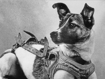 1957– Soviet Union launches first animal into space