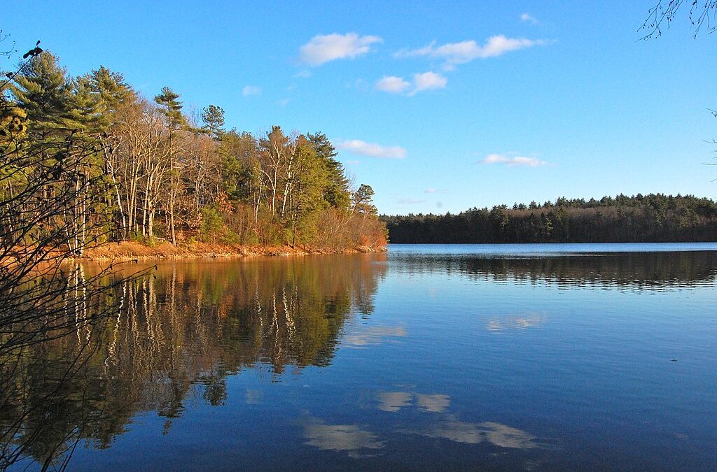 Henry David Thoreau Is Born: The Birth of a Transcendentalist