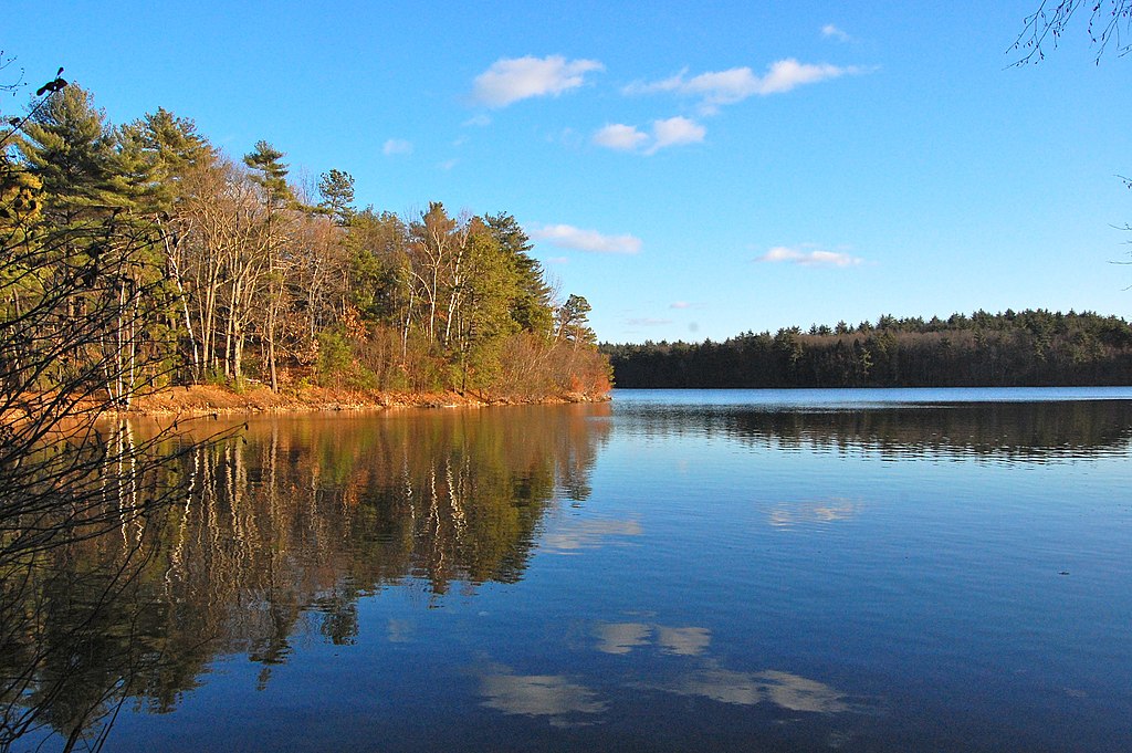 Copy of Walden Pond