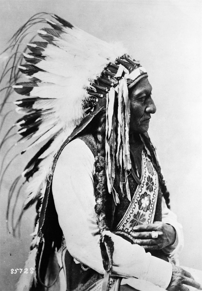 Copy of Sioux Chief Sitting Bull