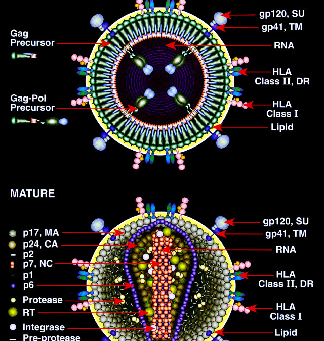 March 3, 2013 – A Mississippi Baby Cured of HIV