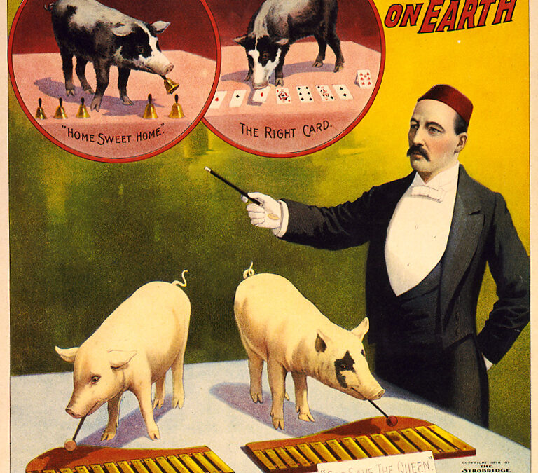 March 18, 1881- The Debut of “The Greatest Show on Earth” at Madison Square Garden