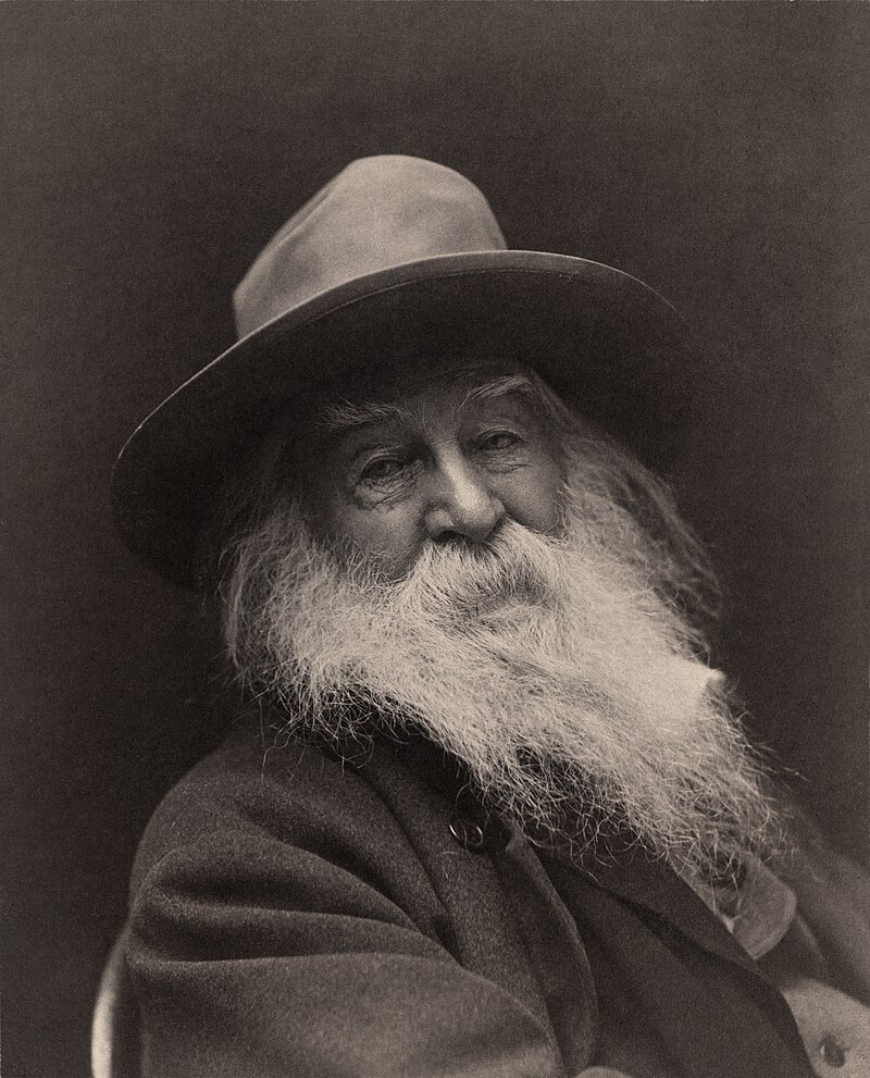 Copy of Walt Whitman Portrait